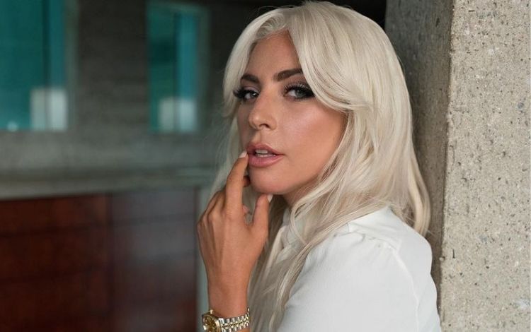 Cães de Lady Gaga são roubados e cantora oferece R$ 2,7 milhões de recompensa