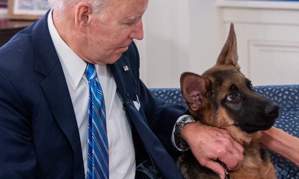 Mal-educado ou bem treinado? Cachorro de Biden ataca agentes da segurança pela 10ª vez e gera caos na Casa Branca