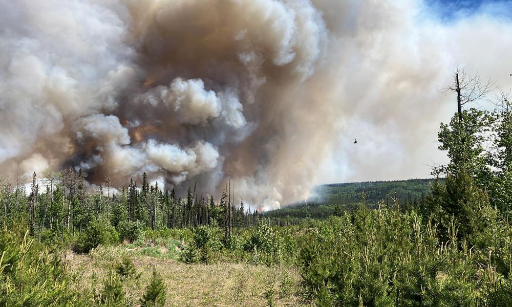 Incêndios florestais no Canadá estão fora de controle e podem durar todo o verão