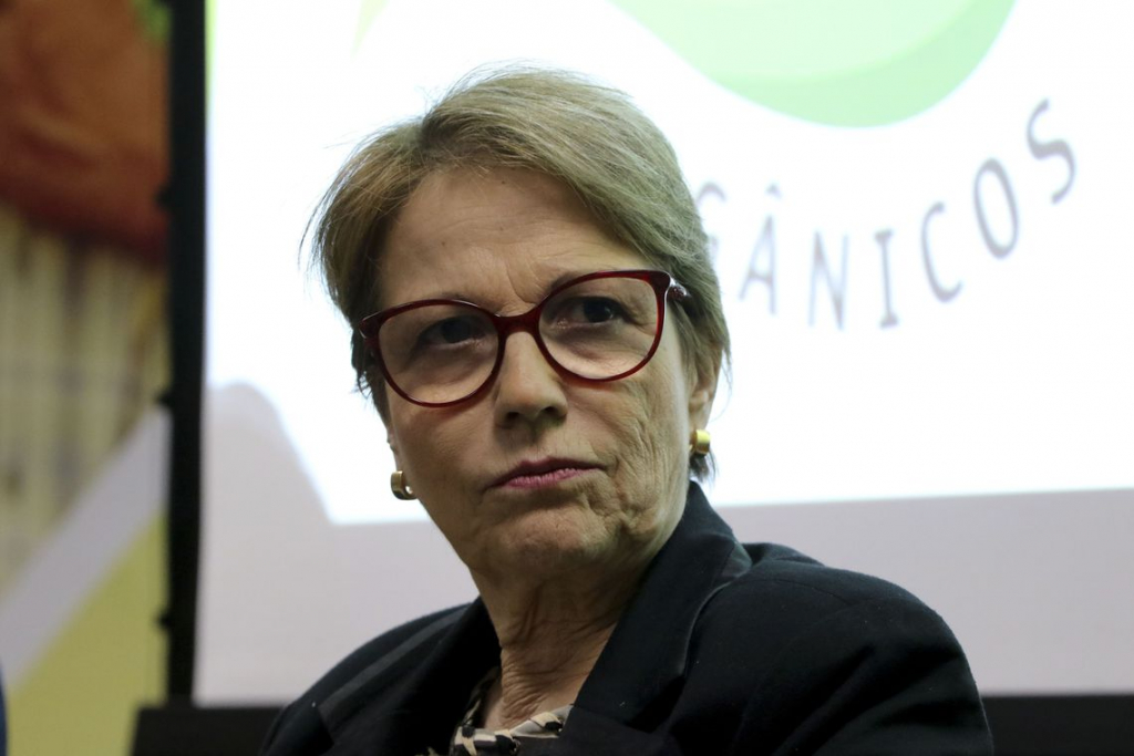 Possível falta de fertilizante da Rússia não deve causar desabastecimento no Brasil, afirma Tereza Cristina
