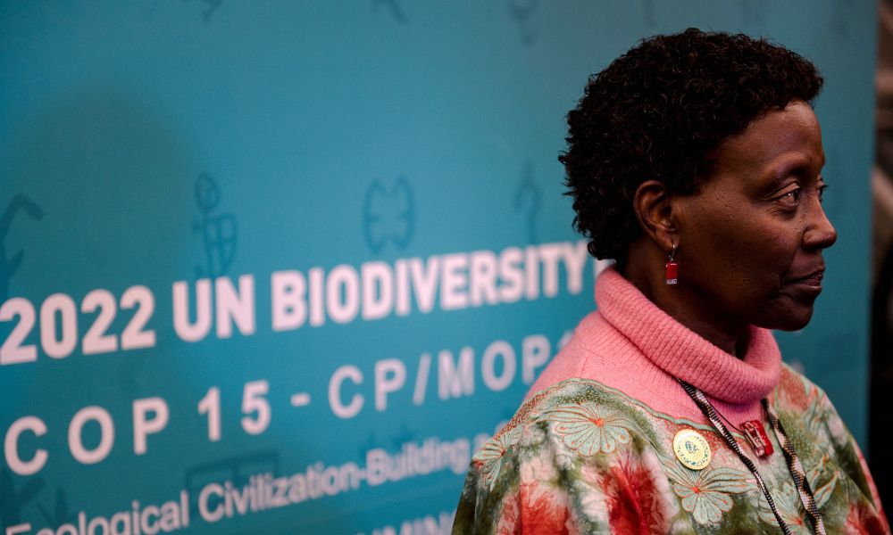 Em conferência da ONU, governos iniciam negociações de acordo sobre biodiversidade