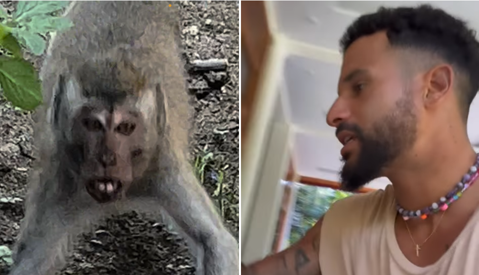 Italo Ferreira é ‘perseguido’ por macacos na Indonésia e se machuca em queda; assista