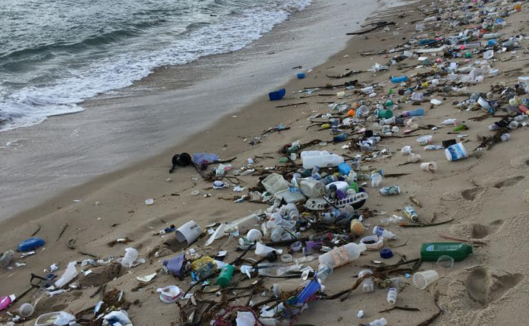 De sapatos a seringas: Toneladas de lixo são encontradas em praias do RN e da Paraíba