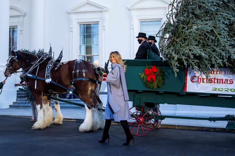 Contrariando recomendações, Casa Branca organiza festa de fim de ano
