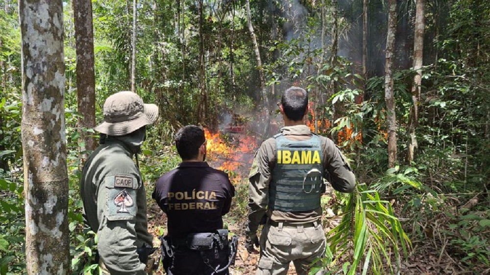 PF e Ibama destroem aeronaves que davam suporte a criminosos na terra Yanomami