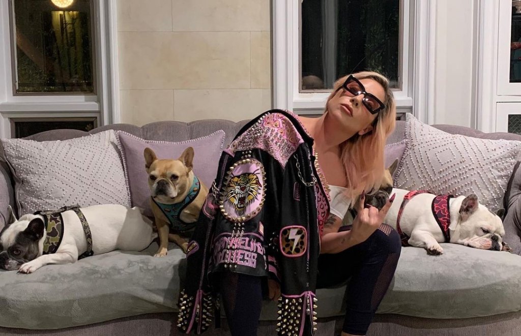 Lady Gaga recupera cachorros roubados durante passeio nos EUA