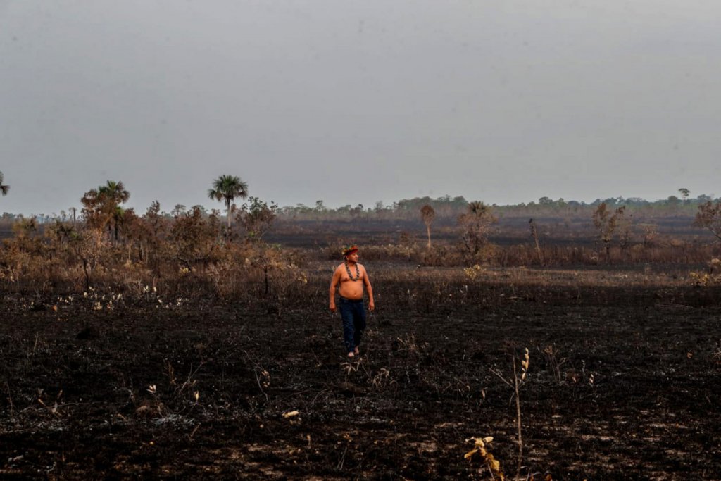 Desmatamento na Amazônia é o maior desde 2015 para o mês de março