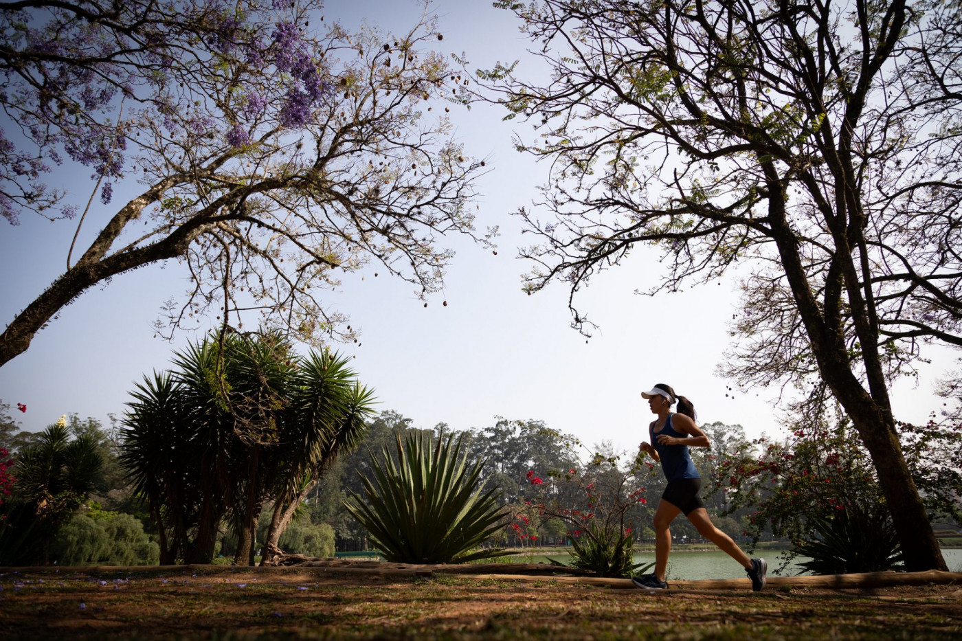 Calor e sensação de abafamento marcam a quinta-feira em São Paulo