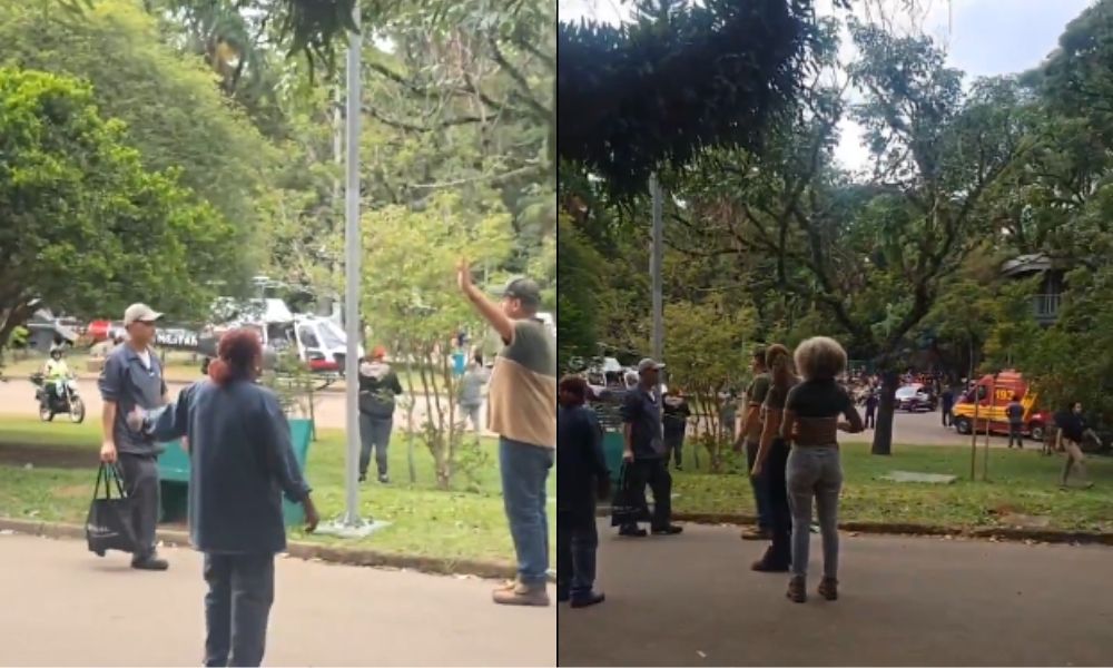 Queda de árvore no Parque Ibirapuera deixa dois feridos