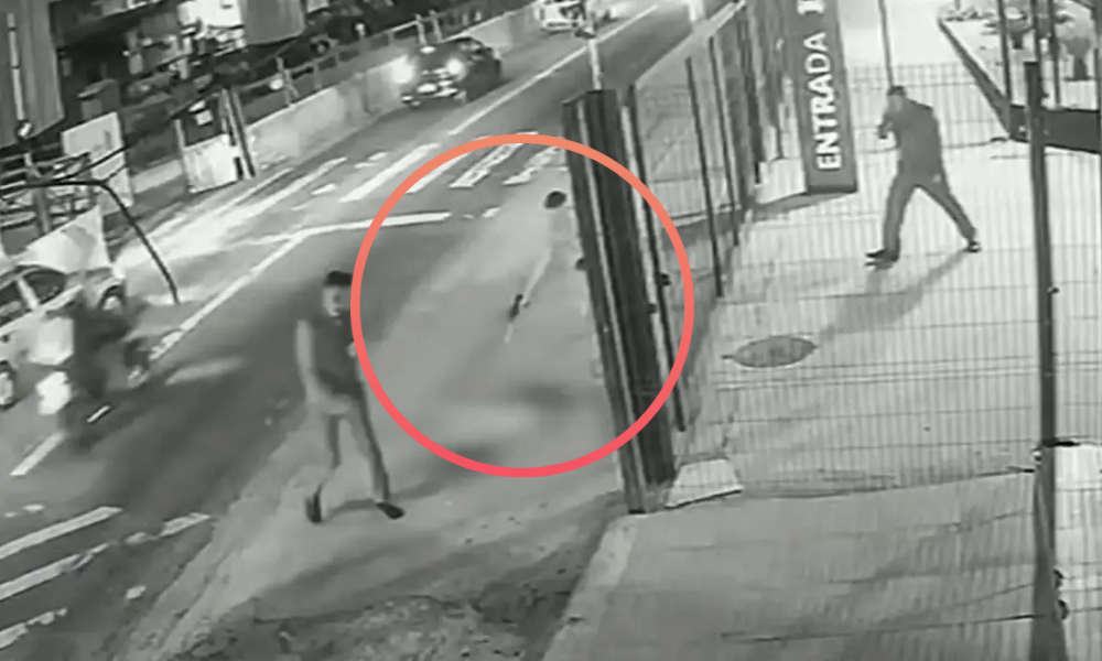 Cachorro comunitário é morto com dez tiros na zona leste de SP