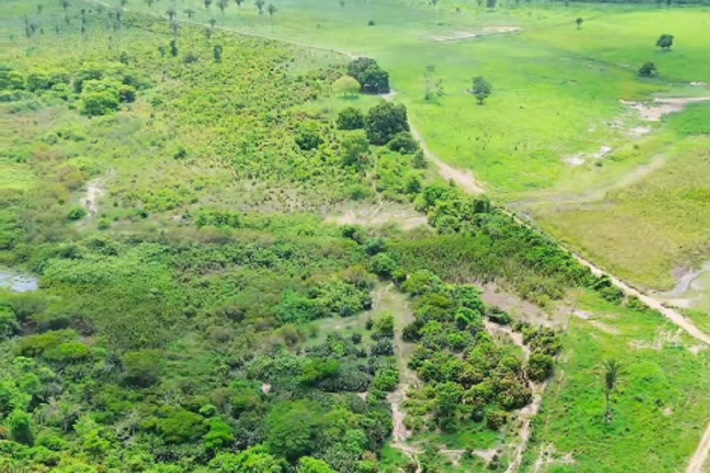 Prefeito oferece recompensa de R$ 20 mil por crianças desaparecidas no MA