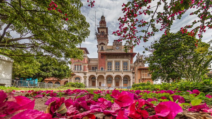 Melhores museus interativos em São Paulo e Rio de Janeiro para ir com crianças