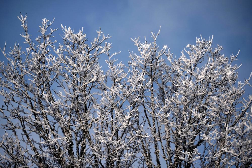 Inmet emite aviso de baixas temperaturas com risco de geada em RS e SC 