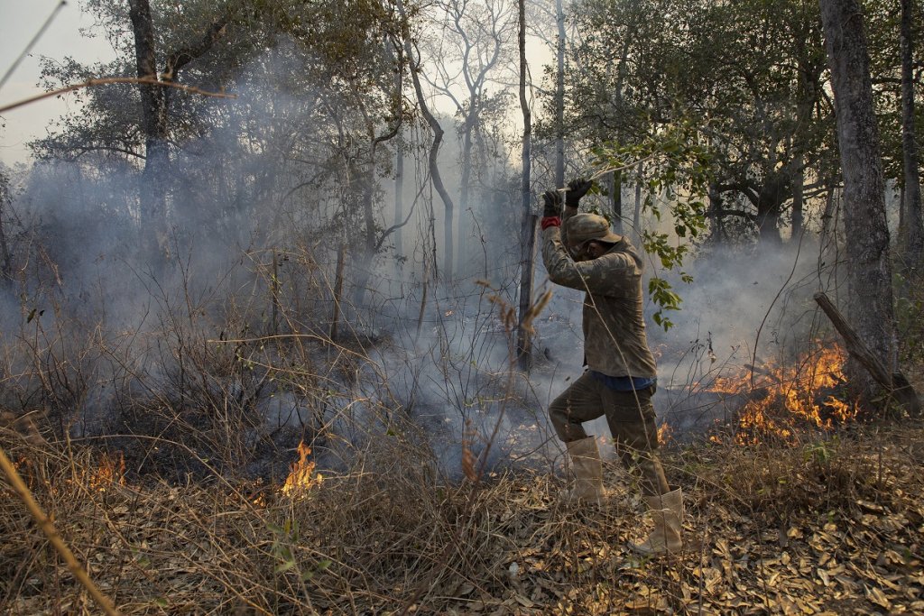 Estudo aponta que área queimada no Brasil aumentou 10 vezes em 35 anos