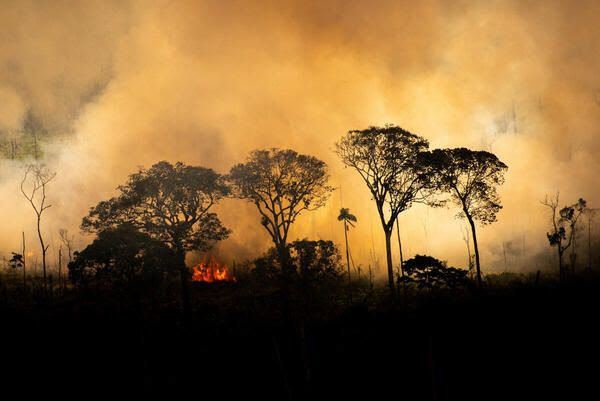 Amazônia registra o maior número de queimadas desde 2007