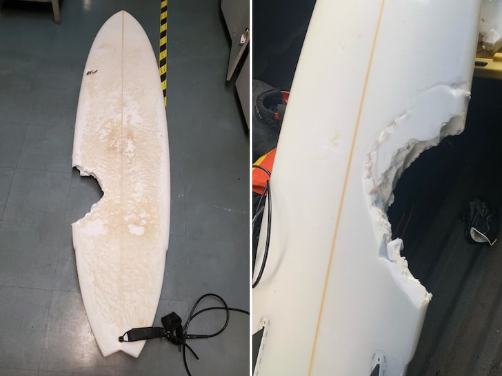 Morre surfista atacado por tubarão em área de prova da WSL no Havaí
