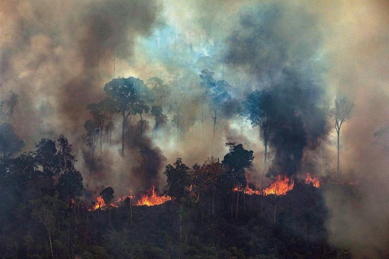 ‘Não tem uma vírgula sobre desmatamento’, afirma relator do projeto que flexibiliza licenciamento ambiental