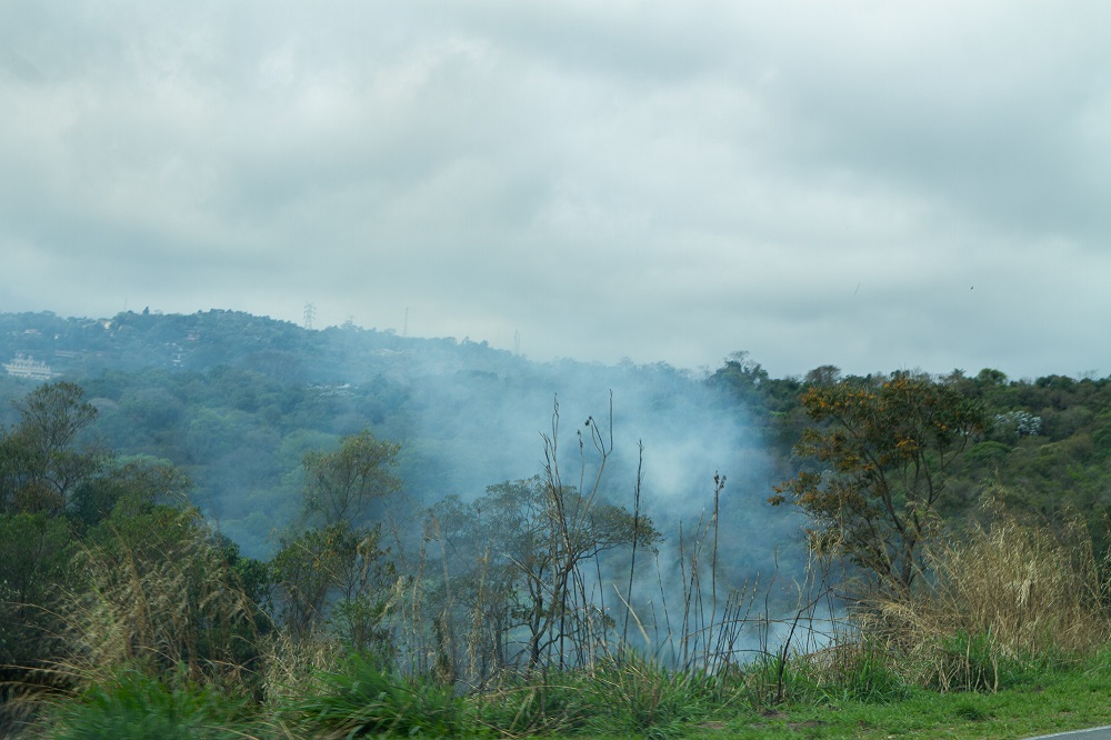 Estado de SP já registra 434 focos de incêndios neste mês 