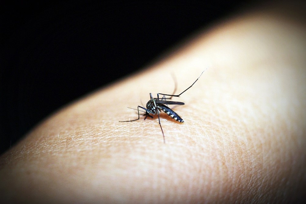 Com mais de 1,6 milhão de casos de dengue, Brasil supera total de 2023 em menos de três meses