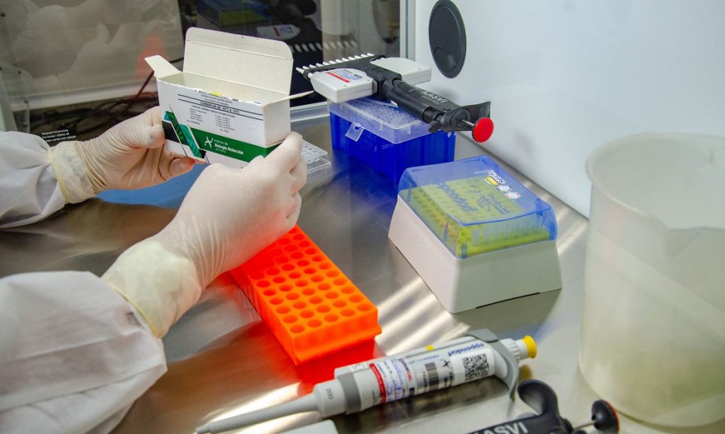 Fiocruz deve submeter dados para aprovação de vacina de Oxford no Brasil até 15 de janeiro