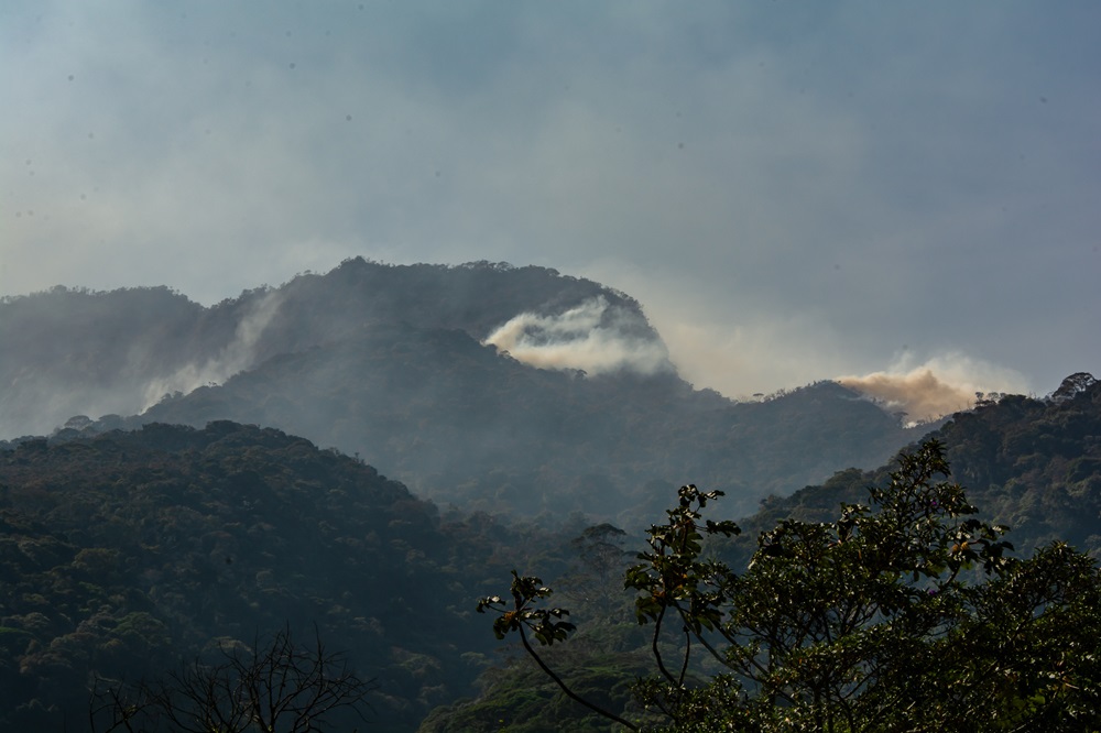 Incêndios atingem mais de 250 mil hectares de cana em São Paulo 