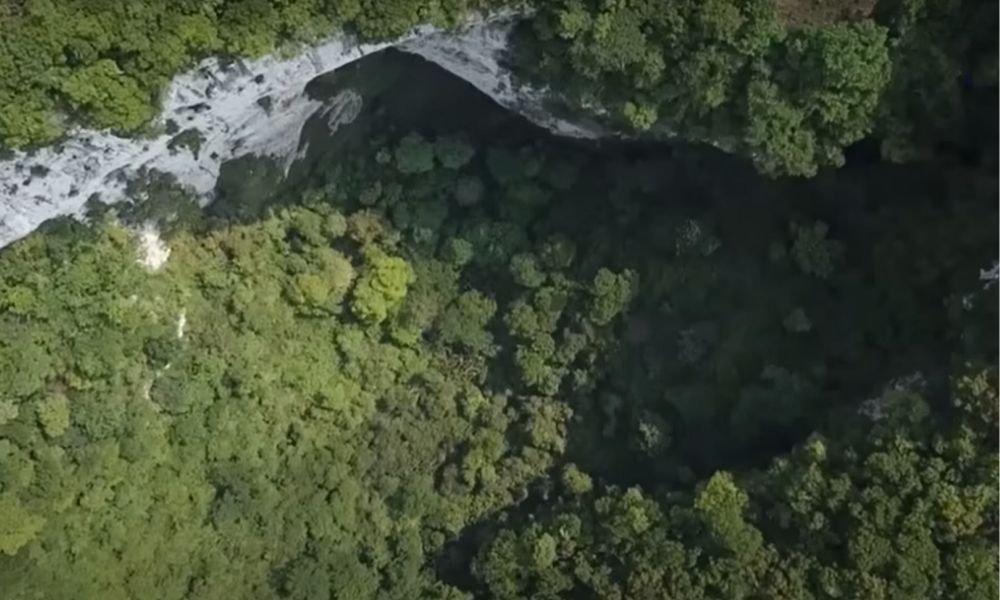 Cientistas chineses descobrem floresta escondida em buraco de 306 metros de comprimento