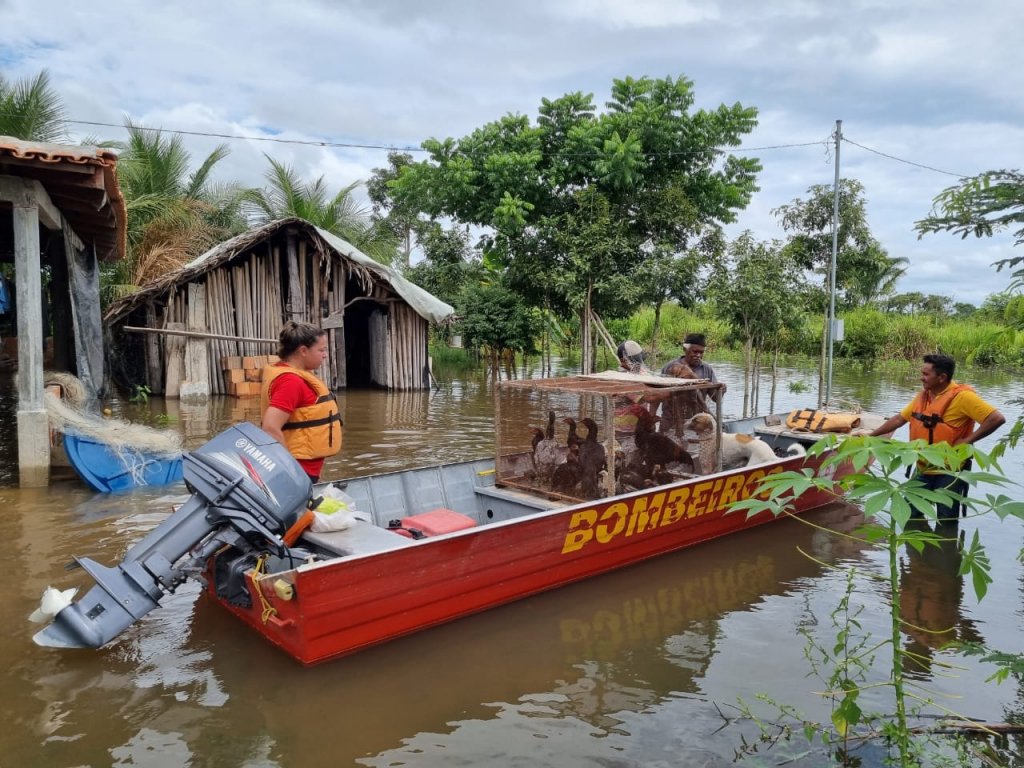 Tocantins chega a 340 pessoas desabrigadas em decorrência de enchentes