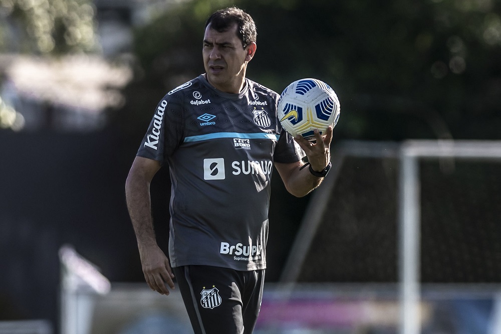 Futuro de Fábio Carille no Santos será decidido após o final da Série B