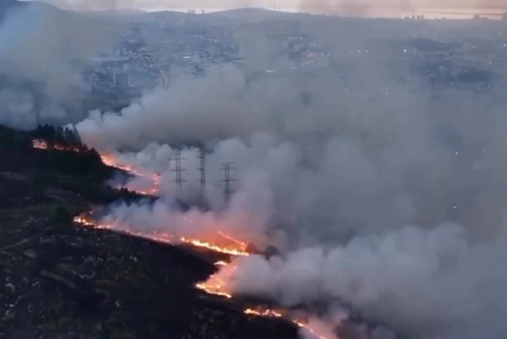 Incêndio atinge área de vegetação em Porto Alegre 