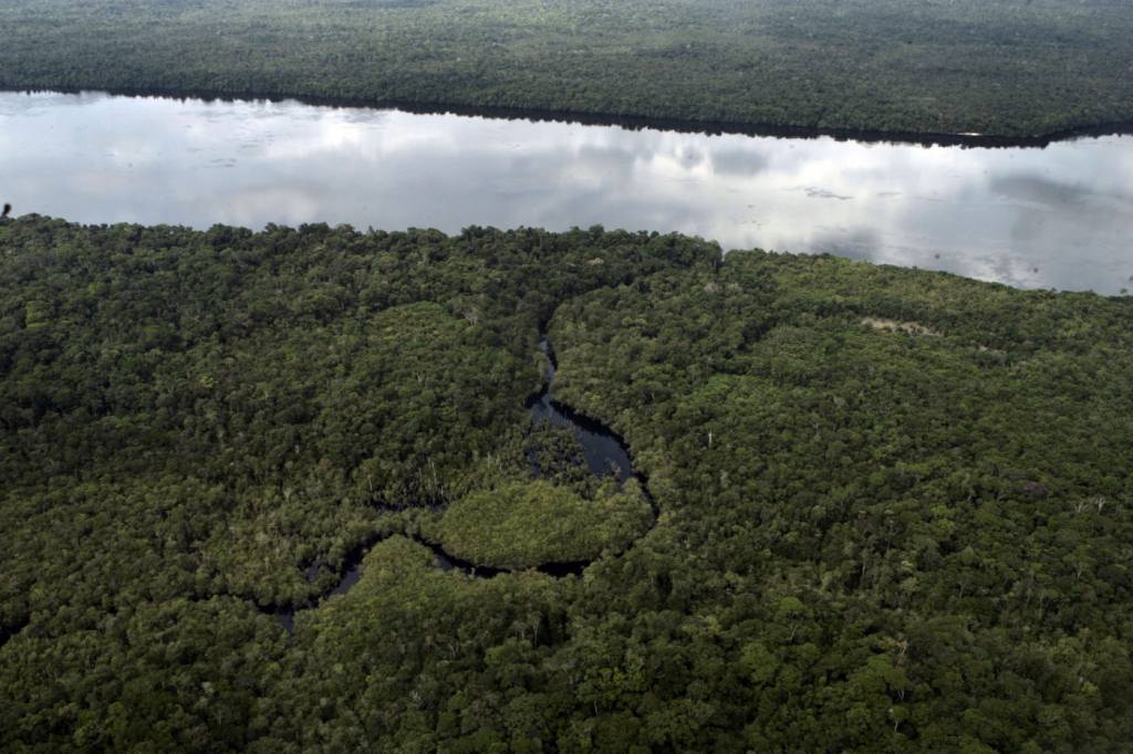 Seca histórica provoca falta de água e comida no Amazonas