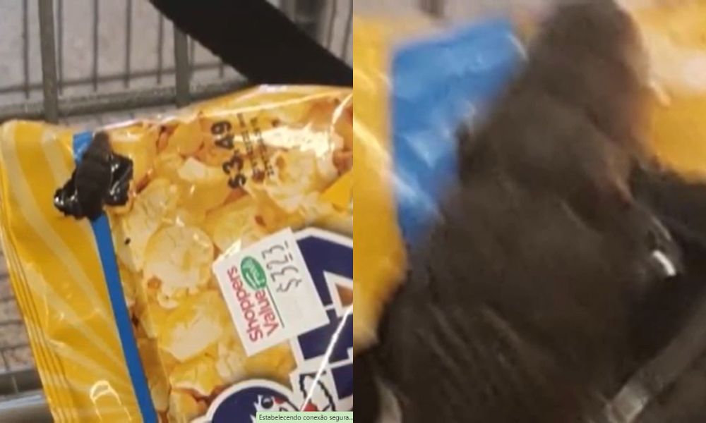 Mulher compra saco de pipoca e encontra cobra vivendo dentro do pacote