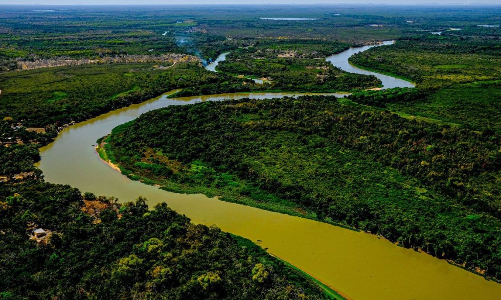 Especialistas alertam que Pantanal pode sofrer pior seca dos últimos anos