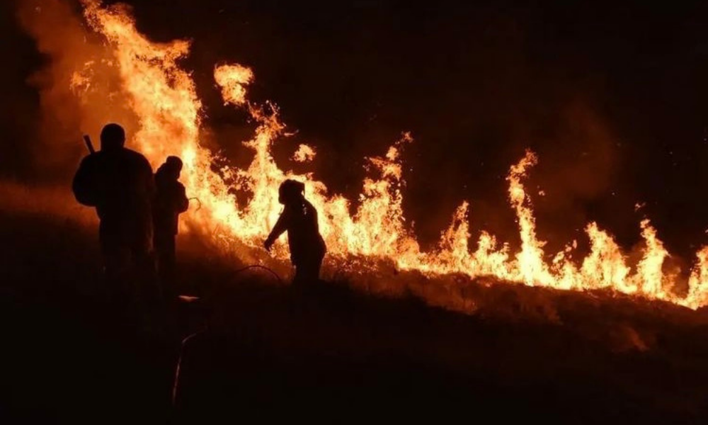 Incêndio já consumiu mais da metade de parque na Grande SP; fogo ainda não foi controlado