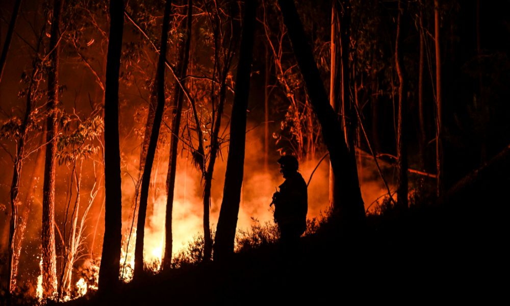 Recorrentes incêndios florestais em Portugal colocam país em ‘estado de contingência’