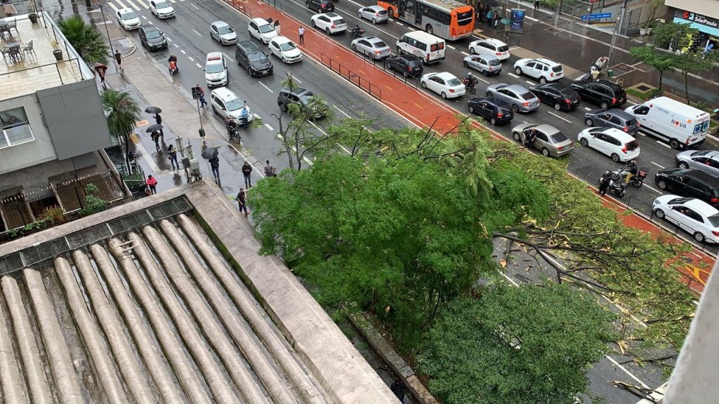 Árvore cai na Avenida Paulista, bloqueia trânsito e fere uma pessoa