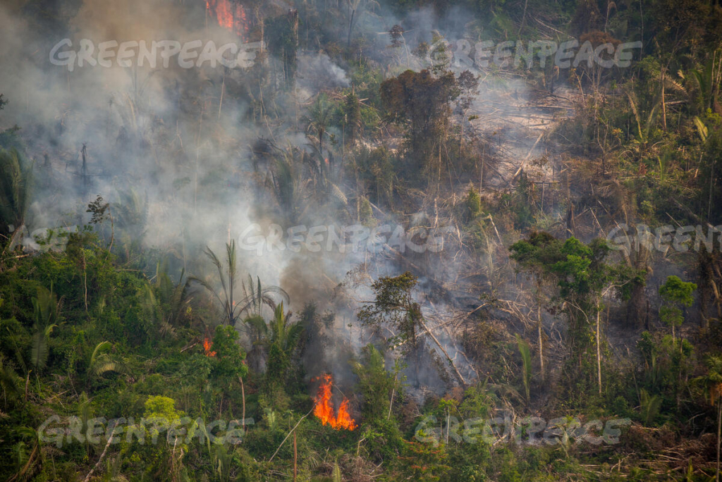 Desmatamento na Amazônia ‘poderia ser pior ainda’, diz Mourão