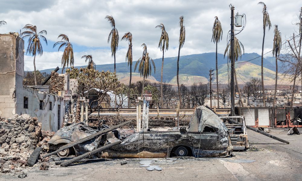 Condado de Maui processa empresa de energia por incêndio mortal no Havaí