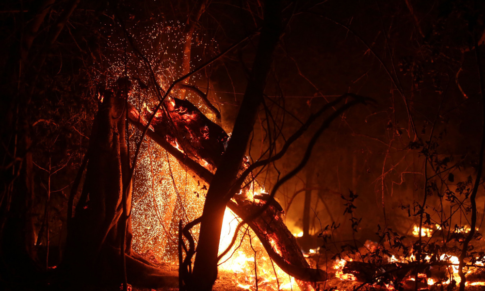 Orçamento não vai faltar no combate aos incêndios no Pantanal, diz Tebet no MS 