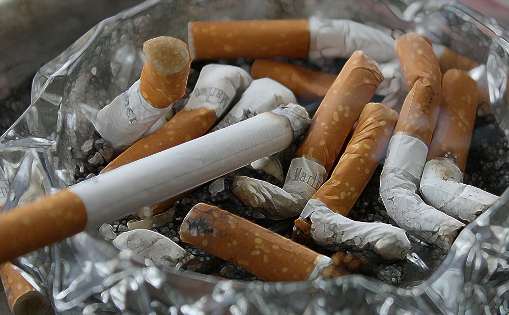 Luta contra o câncer de pulmão deve começar com conscientização na infância sobre o tabagismo