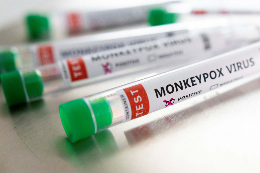 Estados Unidos confirmam 12 casos de varíola dos macacos