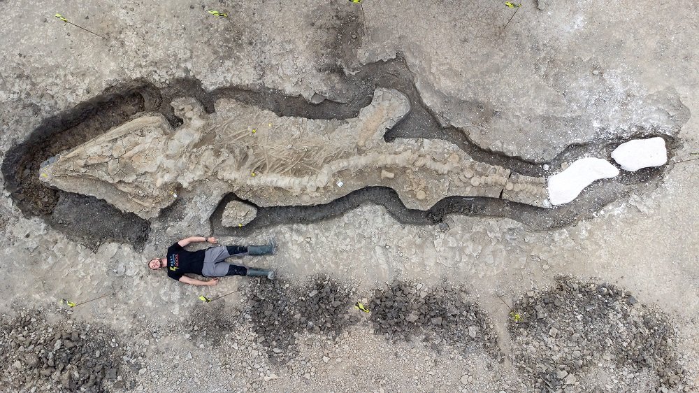 Fóssil raro de ‘dragão marinho’ é descoberto no Reino Unido