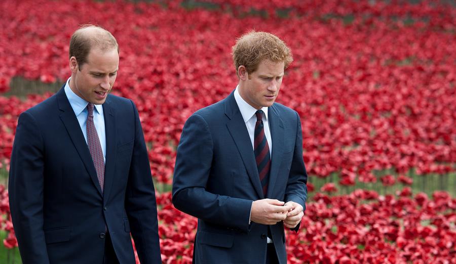 William e Harry criticam imprensa britânica após investigação concluir que Diana foi enganada por jornalista