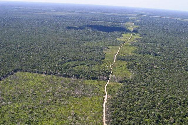 Bolsonaro autoriza operação militar para combate a crimes ambientais na Amazônia