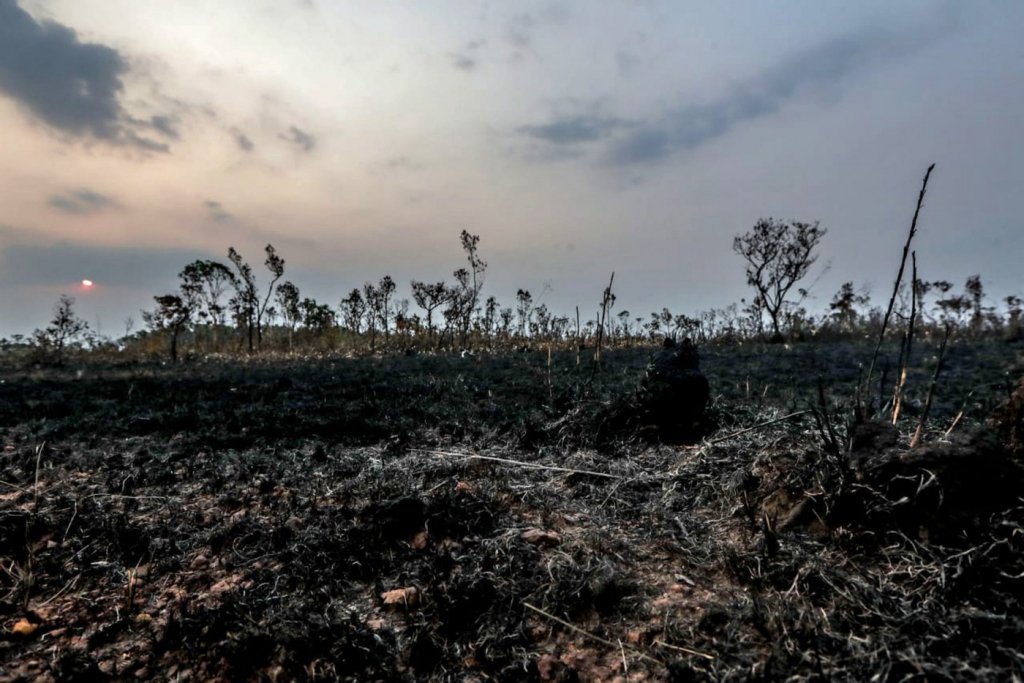 Desmatamento na Amazônia afeta o abastecimento de mananciais em SP