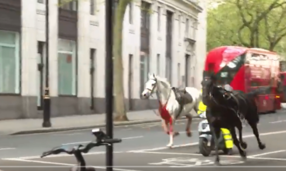 Cavalos do exército britânico escapam e causam alvoroço nas ruas de Londres