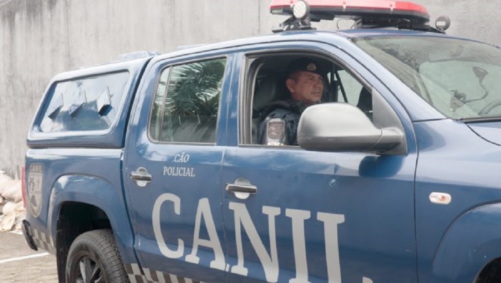 Homens que se passavam por policiais civis são presos no Estado de São Paulo
