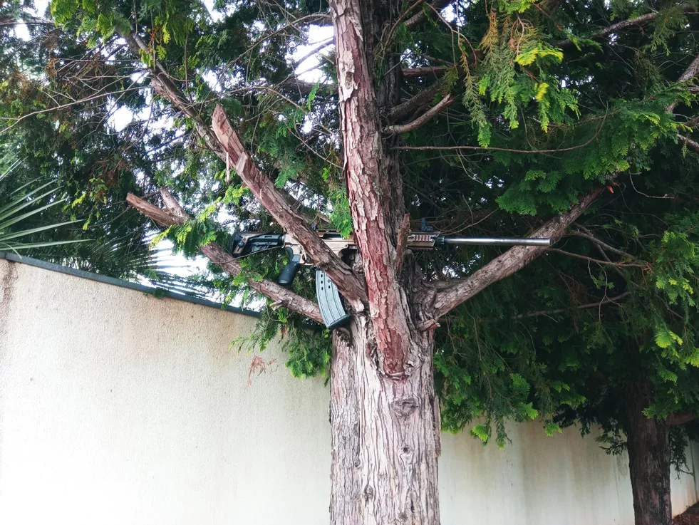 Arma de alto calibre é encontrada em árvore após assalto em Guarapuava