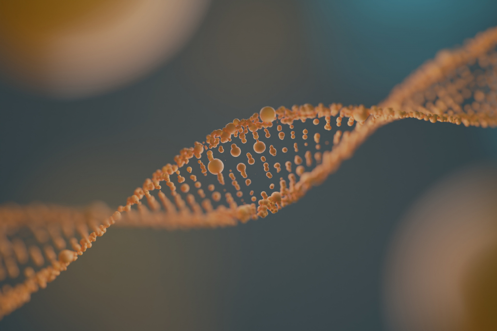 Grupo de cientistas sequencia cromossomo Y humano pela primeira vez