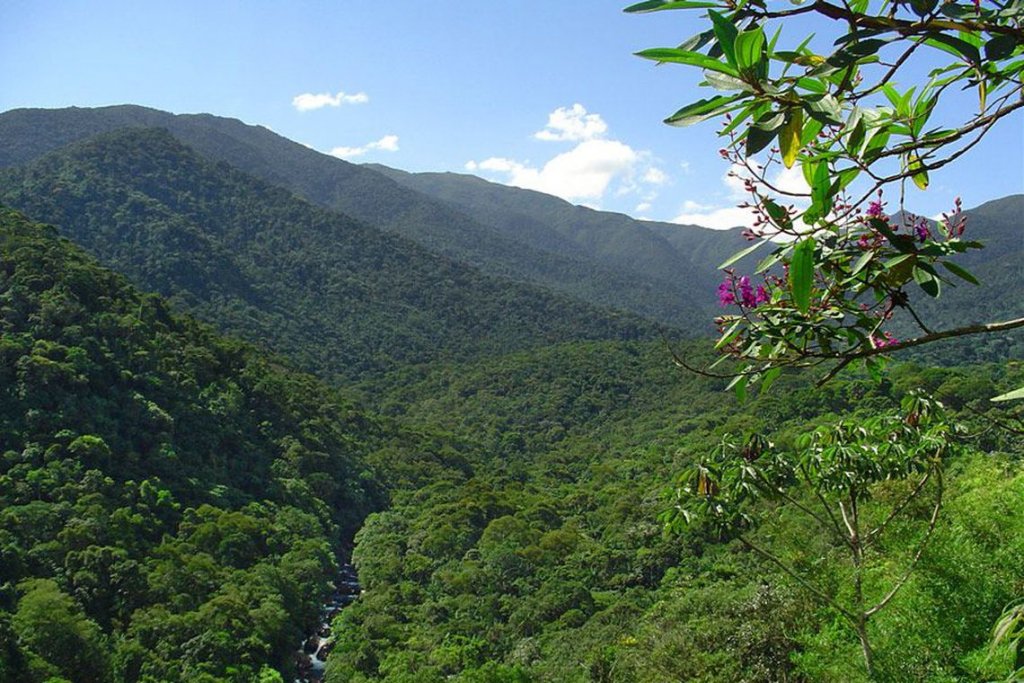 Parque Nacional do Itatiaia, no Rio de Janeiro, registra temperatura de -9,9ºC