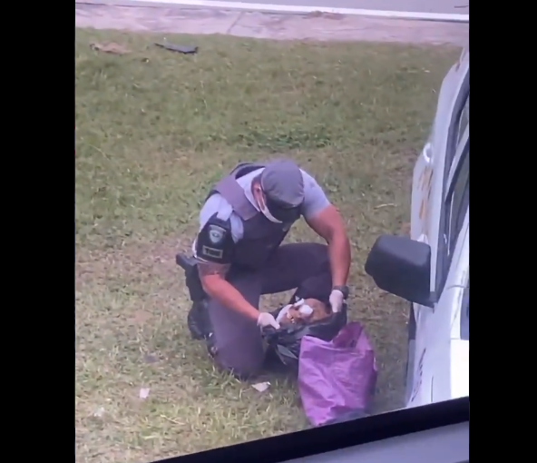 Polícia encontra crânio humano em bagagem de passageiro de ônibus em Itu